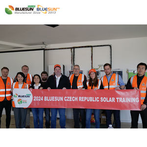 Bluesun 인기있는 태양광 시스템 300kw 태양 전지 패널 시스템 250 kw <span class=keywords><strong>200kw</strong></span> 태양 광 반전 산업 전력 시스템 - Product Image 2