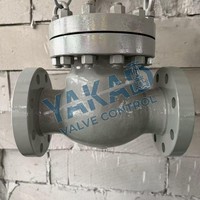 Edelstahl-Rückschlagventil mit Flansch RF Klasse 150 PN16 für Industrielle Rohrleitungen und Pumpenauslassanlagen