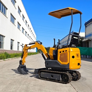 Mini Escavatore Cingolato Certificato CE con Motore Laidong e Cilindro Idraulico Eaton per Soccorso in Caso di Calamità - Vendite Calde dalla Fabbrica - Product Image 5