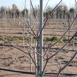 Fiberglass Pultruded <b>Rod</b> with Veil Wrapping - Product Image 5