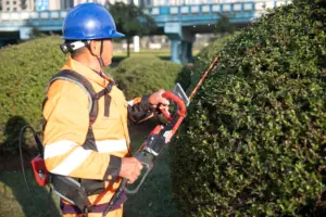 36V 1600W Single Blade Hedge Trimmer With Big Capacity Battery Pack Nplus Powerful Garden Tool