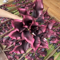 Groothandel EVA Grote Calla Lelie Kunstbloem Bordeaux Kunstmatige Calla Lelie Voor Gotische Bruiloft Tafeldecoratie Bloemstuk