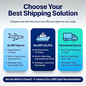 最快美国快递 DDP 门到门 3 天送达，适用于电商和小型企业运输 - Product Image 5