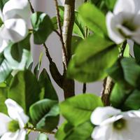 Pohon Bonsai Magnolia Camellia Artifisial PE Realistis, Bunga Plastik untuk Dekorasi Dalam/Luar Ruangan, Pernikahan, Pesta Ulang Tahun, dan Lanskap