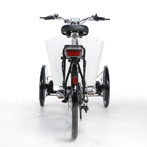 <span class=keywords><strong>Velomobile</strong></span> Trike Electric Cargo Bike 250W motor triciclos eléctricos con puerta - Product Image 4