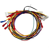 Faisceau de câbles basse tension 1569/1007 105 ℃   Ensemble de câbles 300V 18AWG (longueur personnalisable)