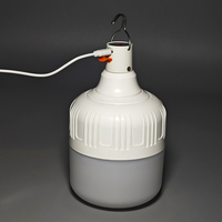 15W 20W 30W 40W 60W bombillas recargables bombilla recargable de emergencia LED focos de emergencia inteligentes recargables 50 vatios