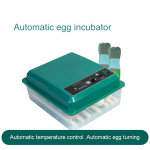 Incubateur d'Œufs 24 38 49 64 128 Places, <span class=keywords><strong>Machine</strong></span> Entièrement Automatique pour l'Éclosion de Poussins - Product Image 4