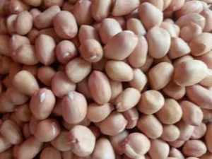 Nhà Máy Bán Hàng Trực Tiếp Đặc Biệt Hot Bán Số Lượng Lớn Da Đỏ Đậu Phộng Hạt Nhân Trung Quốc Nguyên Đậu Phộng Hạt Nhân Mà Không Có Vỏ - Product Image 3