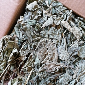 LAN Bu Zheng เอเชียสมุนไพร bennet <span class=keywords><strong>ชา</strong></span>ป่าทั้งแห้ง geum japonicum เหนือพื้นดิน - Product Image 5