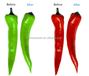 Machine de découpe de queue de poivron rouge d'utilisation commerciale - Product Image 1