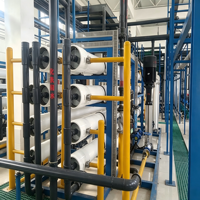 Système de dessalement par osmose inverse pour eau saumâtre 10m³/h BWRO, contrôle automatique PLC, pompe à réservoir sous pression en acier inoxydable SUS304