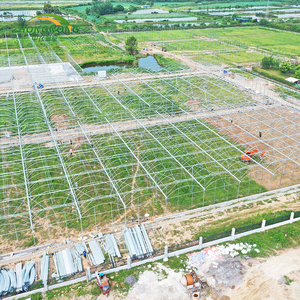 Système d'irrigation hydroponique intelligent pour la culture verticale de la laitue, des fraises et des <span class=keywords><strong>tomates</strong></span>, serre multi-spans en film - Product Image 5