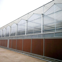 Grande serre en polycarbonate, système hydroponique, taille personnalisable, contrôle intelligent de la température pour la culture commerciale de légumes