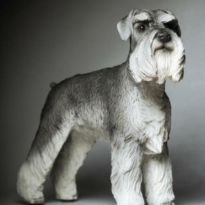 Personalizado y al por mayor <span class=keywords><strong>de</strong></span> resina <span class=keywords><strong>de</strong></span> animales modelos <span class=keywords><strong>de</strong></span> perros <span class=keywords><strong>miniatura</strong></span> estándar <span class=keywords><strong>Schnauzer</strong></span> realista perro estatuilla - Product Image 4