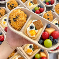 Boîte à lunch jetable ovale en pulpe de bagasse, écologique, biodégradable, recyclable, avec couvercle, capacité 1000 ml, pour plats à emporter