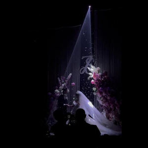 Luz láser animada para conciertos, clubes nocturnos, eventos corporativos, festivales y bodas, luces de escenario para desfiles de moda - Product Image 1