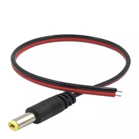 Fiche mâle Dc 2.1x5.5 droit/Angle droit 90 degrés vers queue de cochon fil de cuivre nu avec câble d'alimentation Dc 12V pour lumière LED