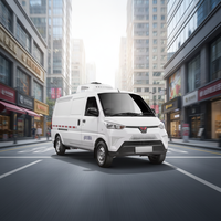 Camion frigorifique électrique Wuling haute efficacité grande capacité 41,86 kWh, châssis en acier, 2 places, batterie CATL, véhicule utilitaire électrique, autonomie 201-300 km