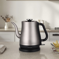 Bouilloire Électrique Portable en Titane Pur 1500W, Ébullition Rapide, Antibactérienne, Anti-rouille, Design Luxe Léger avec Contrôle Strix