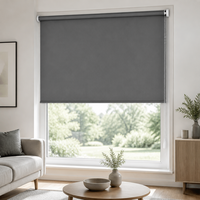 Stores à enroulement modernes et minimalistes en tissu, sur mesure, avec chaîne à billes manuelle, filtrant la lumière, pour chambre et salon