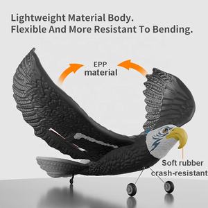 Avion <span class=keywords><strong>de</strong></span> planeur télécommandé RC Aigle Avion jouet 2.5CH en mousse radiocommandé Aigle volant Avion jouet pour les jeux aquatiques, terrestres et aériens - Product Image 4