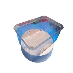 Disposable Transparent Plastic Pastry Box PET Peach Crisp Twist Cake Bread Box Nut Snack Biscuit Box With Lid