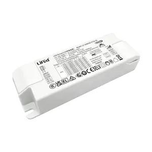 Lifud ไดรเวอร์ไฟ LED 30W 750mA 180-264V AC DC Converter Dali dimmable SINGLE Channel - Product Image 1