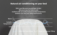 Nouveau produit couette/couette/couette/couette en soie de remplissage de soie à long brin de haute qualité 100% pour l'hiver