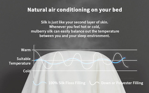 Sản phẩm mới chất lượng cao 100% dài-strand lụa điền Silk Quilt/Duvet/Comforter cho mùa đông - Product Image 3