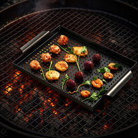 Accessoires de barbecue portables professionnels en fer, plaque de cuisson pour barbecue extérieur, plateau de cuisson pour barbecue extérieur et cuisson intérieure