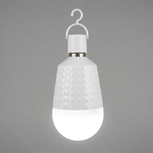 หลอดไฟ LED A19 อื่นๆ 6000K แสงเดย์ไลท์ 85lm/W ตัวหลอดพลาสติก ปุ่มควบคุมแบบแมนนวล AC 85-265V SMD 2835 30000H CRI 85 ได้รับการรับรองมาตรฐาน CE - Product Image 1