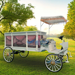 Carroza Funeraria Eléctrica de Alta Gama, Nueva, con Acabado de Pintura de Alta Calidad, Remolque Eléctrico Especial para Funerales - Product Image 5