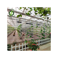 Chauffe-serre en verre intelligent Graines de fleurs avec système de culture hydroponique Système hydroponique agricole NFT