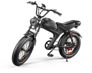 2024 di vendita calda Mountain Snow Bike elettrico Fatbike 48v 750w 1000w mozzo motore elettrico moto moto per adulti uomini