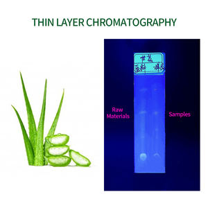 バルク化粧品グレードアロエベラエキスパウダーアロエベラゲル凍結乾燥粉末アロエベラゲルスプレー乾燥粉末 - Product Image 4