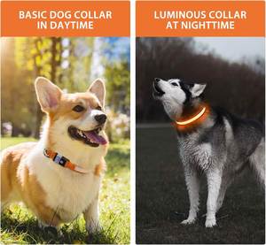 LED Waterproof Glow-In-The-Dark Multi-color <b>Dog</b> Collar Luxury Tribal Adjustable Polyester Reflective <b>Light</b> Stripes Night Safety - Product Image 3
