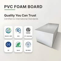 Panneau en mousse PVC Celuka blanc durable 12mm 15mm 18mm, feuille plastique résistante à l'eau pour meubles de salle de bain