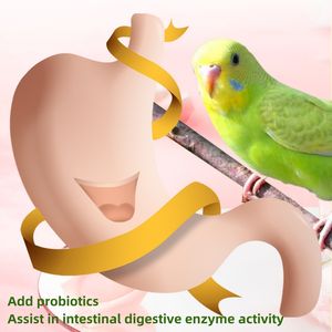 עוף עוף תוכי bird budgie חרוטי מזון מיוחד דגנים מעורבבים קטנים - Product Image 3