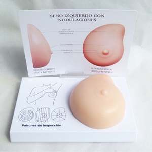 Modelo de Mama em Silicone 3D KyrenMed, Manequins para Exame de Mama com Modelos de Nódulos Patológicos para Autoexame - Product Image 3