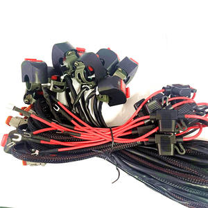 تصنيع المعدات الأصلية ODM <span class=keywords><strong>2</strong></span> دبوس 18AWG DT موصل حامل الصمامات السيارات المخصصة - Product Image 4