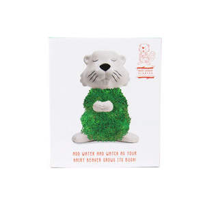 Poilu <span class=keywords><strong>castor</strong></span> Chia planteur Kit de culture Chia animaux de compagnie pour enfants animaux classique lama Chia animal de compagnie maison bureau plante décor cadeau - Product Image 5