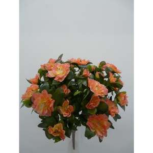 AZALEA BUSH X7 IN - Product Image 1