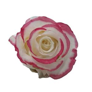 4-5cm importation fleurs naturelles fleurs stabilisés fleurs éternelles - Product Image 4