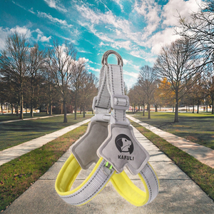 2025 Nhà Máy Trực Tiếp Bán Buôn Hot Bán Xl Nylon Da Pet Vest Chó Có Thể Điều Chỉnh Thời Trang Động Vật Thể Thao Vest Phản Quang - Product Image 3