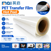 Printer Inkjet DTF Industri YQ-602XS Ukuran A1 60cm Roll To Roll Direct To Film Untuk Pencetakan Hoodie, Tas, Topi, dan Tekstil