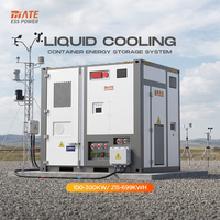 Container per Accumulo Energetico da 10ft, 100kW 215kWh 300kW 699kWh, Sistema di Accumulo a Batteria LiFePO4 BESS per Stazione Meteorologica e Alimentazione Off-Grid
