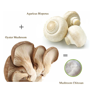 Veganes Pilz-Chitosan-Pulver in Kosmetikqualität, Pflanzliches Chitosan aus Agaricus Bisporus (Champignon) und Austernpilz-Extrakt - Product Image 2