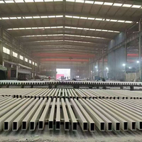 Nave Industrial Prefabricada de Acero, Estructura Metálica, Resistente a la Corrosión, Directo de Fábrica