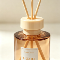 Diffuseur à bâtonnets en rotin, désodorisant d'intérieur, bouteille en verre coloré, parfum longue durée pour la décoration intérieure